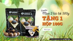 gia toi den